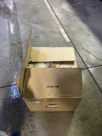 IMG_3765.jpeg