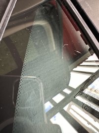 IMG_3896.jpeg