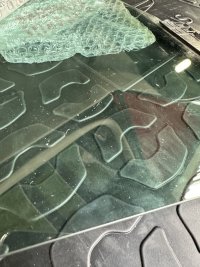 IMG_3901.jpeg