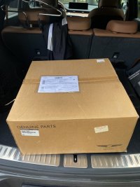 IMG_3220.jpeg