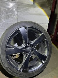 IMG_3245.jpeg