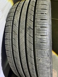 IMG_3246.jpeg