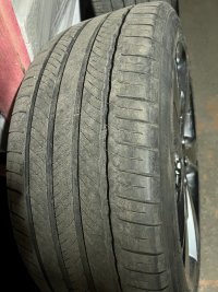 IMG_3247.jpeg