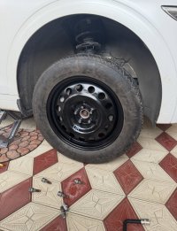 IMG_3964.jpeg
